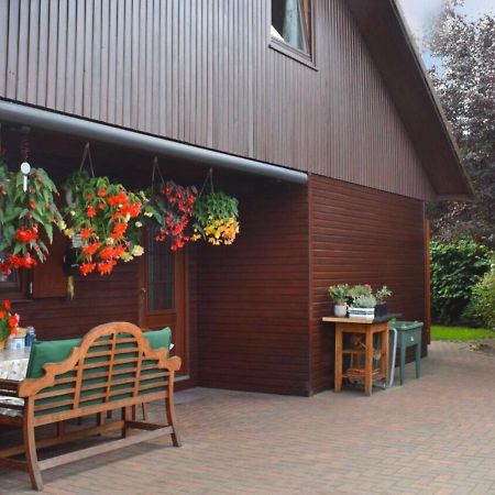 Kranich-Holzferienhaus 'Kleine Auszeit' Rehden Buitenkant foto