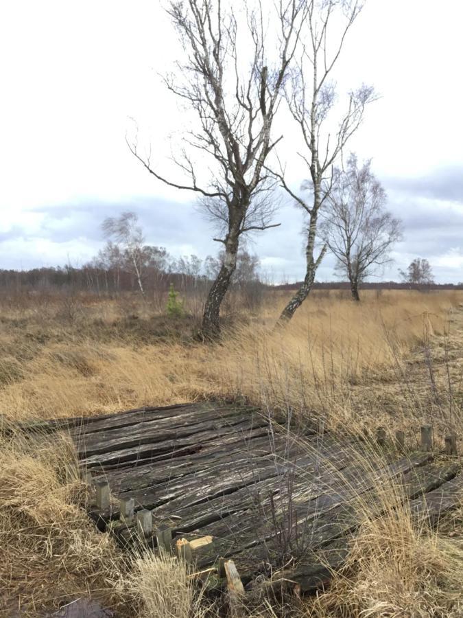 Kranich-Holzferienhaus 'Kleine Auszeit' Rehden Buitenkant foto