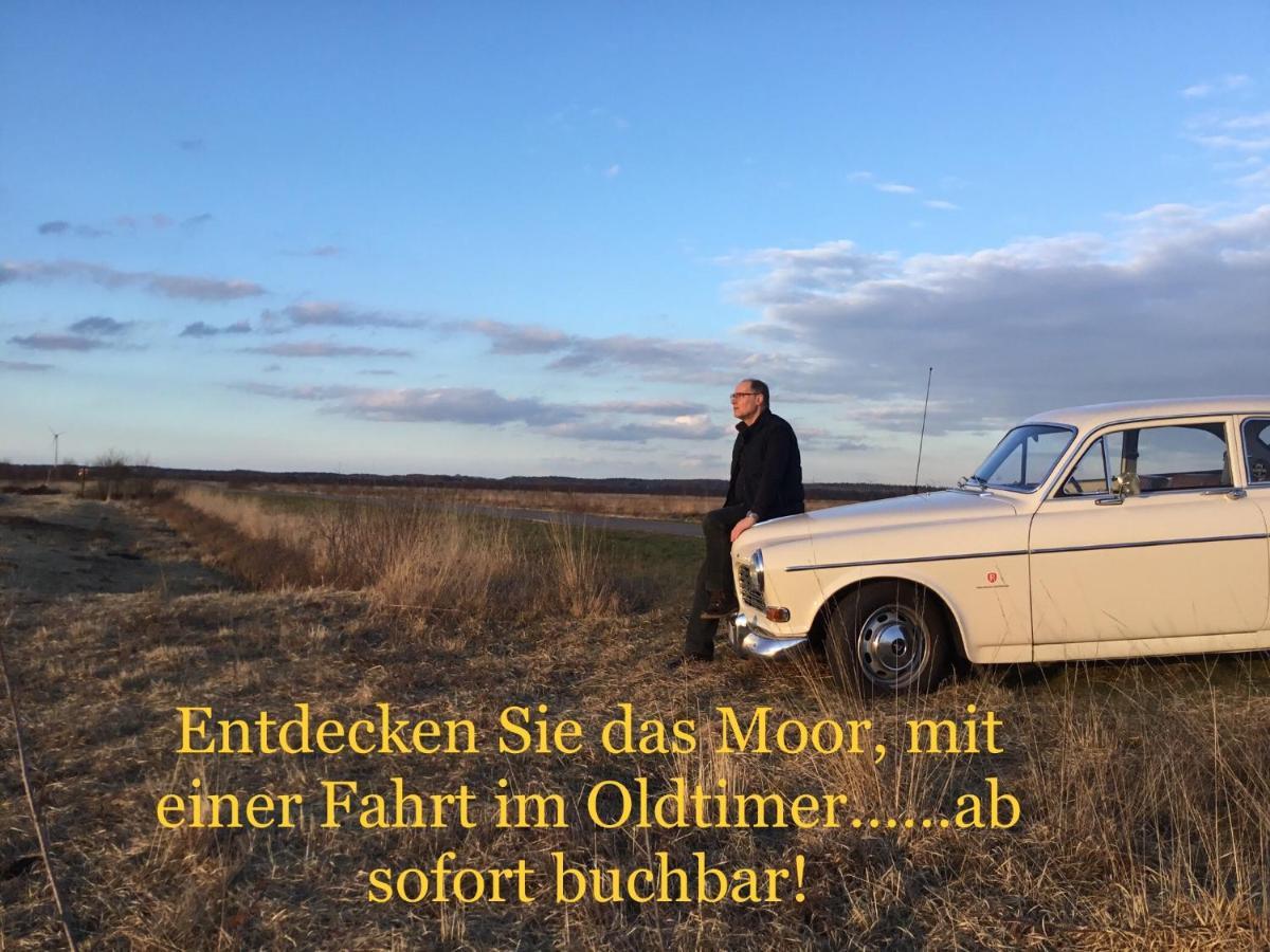 Kranich-Holzferienhaus 'Kleine Auszeit' Rehden Buitenkant foto