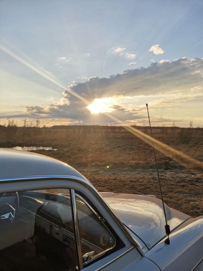 Kranich-Holzferienhaus 'Kleine Auszeit' Rehden Buitenkant foto